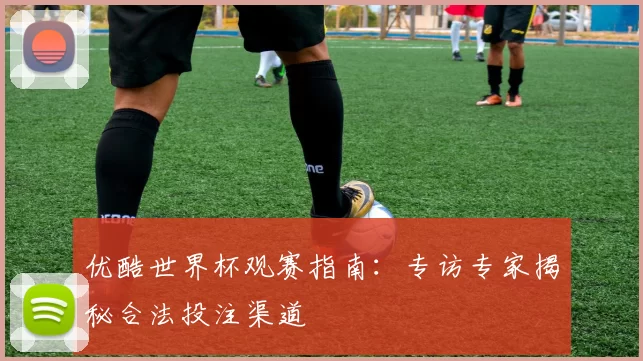 优酷世界杯观赛指南:专访专家揭秘合法投注渠道