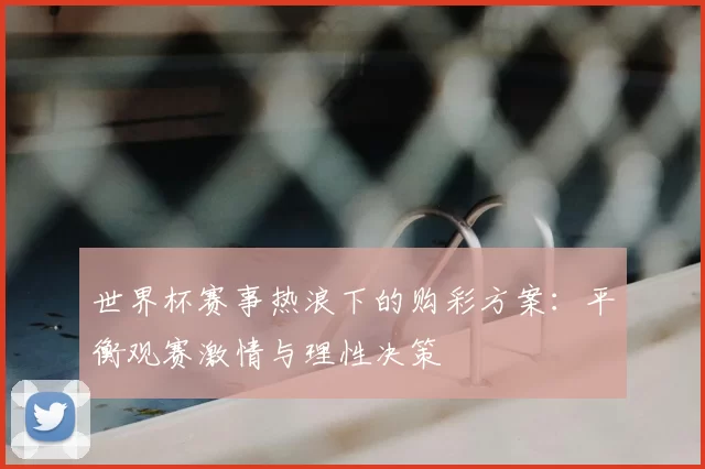 世界杯赛事热浪下的购彩方案:平衡观赛激情与理性决策
