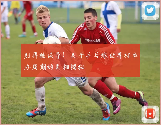 别再被误导!关于乒乓球世界杯举办周期的真相揭秘