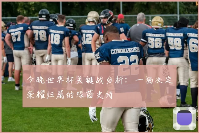 今晚世界杯关键战分析:一场决定荣耀归属的绿茵史诗