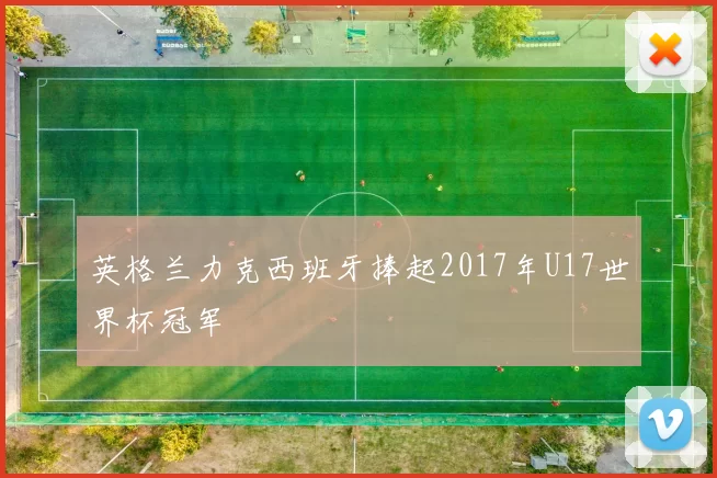 英格兰力克西班牙捧起2017年U17世界杯冠军